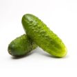 Bentley Seed Co. - Cucumber Boston Pickling Discount