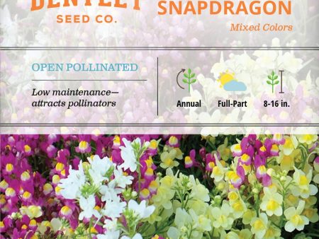 Bentley Seed Co. - Baby Snapdragon Mixed Linaria Maroccana on Sale