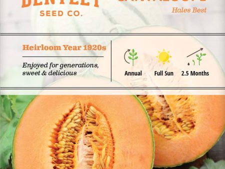 Bentley Seed Co. - Cantaloupe Hale s Best Jumbo Fashion