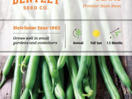 Bentley Seed Co. - Bean Provider (Green Bush) Online Hot Sale