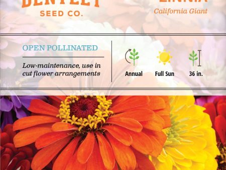 Bentley Seed Co. - Zinnia California Giant Mixed For Cheap