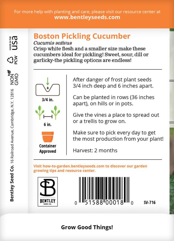 Bentley Seed Co. - Cucumber Boston Pickling Discount