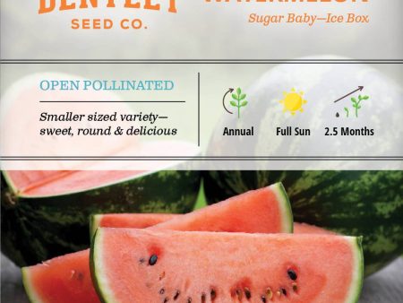 Bentley Seed Co. - Watermelon Sugar Baby Cheap