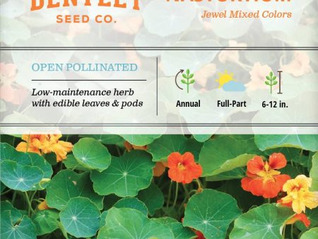 Bentley Seed Co. - Nasturtium Jewel Mixed Colors Tropaeolum Majus Cheap