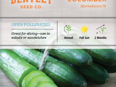 Bentley Seed Co. - Cucumber Marketmore 76 Online Sale