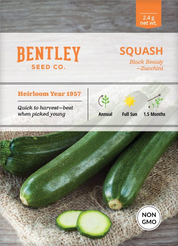 Bentley Seed Co. - Squash Zucchini Black Beauty For Discount