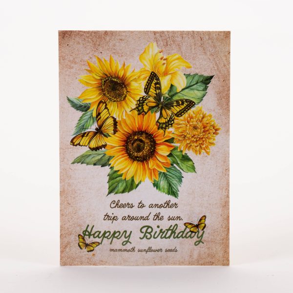 Bentley Seed Co. - Happy Birthday Sunflower Mammoth Sunflower Seed Packets For Cheap