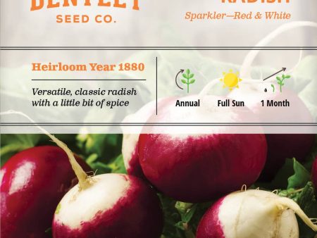 Bentley Seed Co. - Radish Sparkler Sale