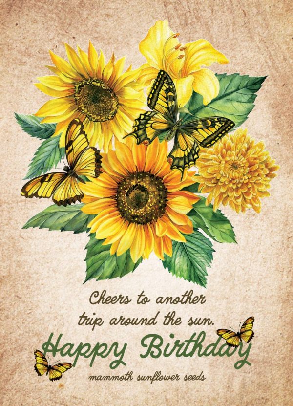 Bentley Seed Co. - Happy Birthday Sunflower Mammoth Sunflower Seed Packets For Cheap