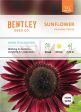 Bentley Seed Co. - Sunflower Chocolate Cherry Seed Packets Fashion