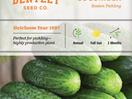 Bentley Seed Co. - Cucumber Boston Pickling Discount