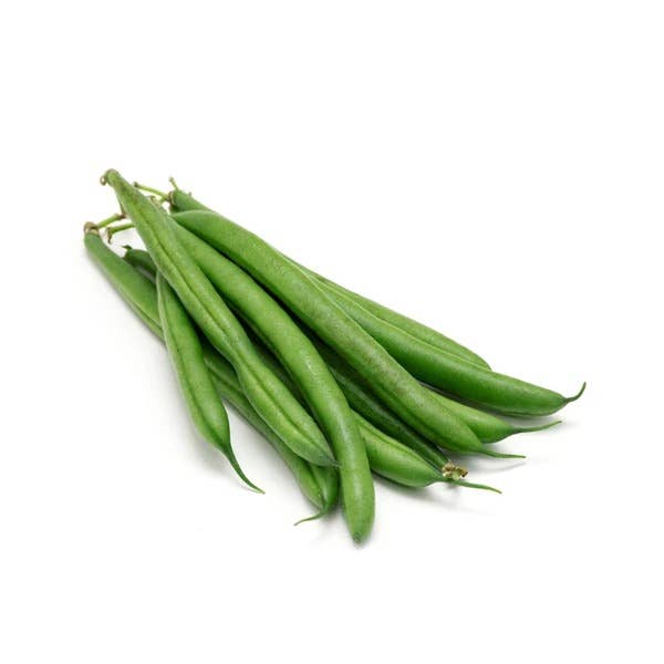 Bentley Seed Co. - Bean Provider (Green Bush) Online Hot Sale