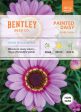 Bentley Seed Co. - Painted Daisy Chrysanthemum Carinatum Cheap