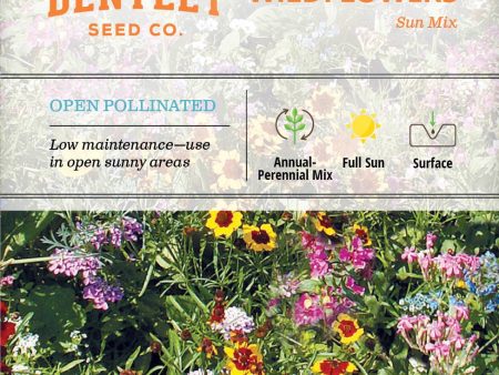 Bentley Seed Co. - Sunny Mix Wildflowers For Cheap