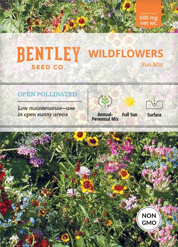 Bentley Seed Co. - Sunny Mix Wildflowers For Cheap