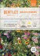 Bentley Seed Co. - Sunny Mix Wildflowers For Cheap