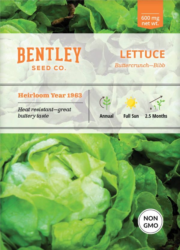 Bentley Seed Co. - Lettuce Buttercrunch Hot on Sale