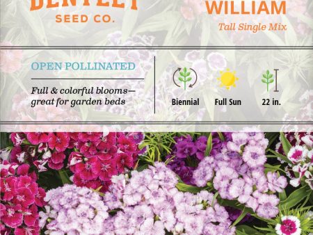 Bentley Seed Co. - Sweet William Tall Single Mix Dianthus Barbatus Cheap