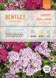 Bentley Seed Co. - Sweet William Tall Single Mix Dianthus Barbatus Cheap