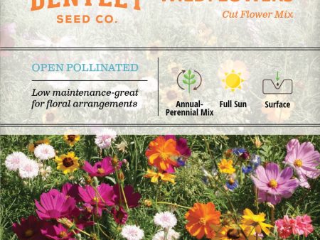 Bentley Seed Co. - Cut Flower Mix Mixed Annuals Supply