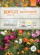 Bentley Seed Co. - Cut Flower Mix Mixed Annuals Supply