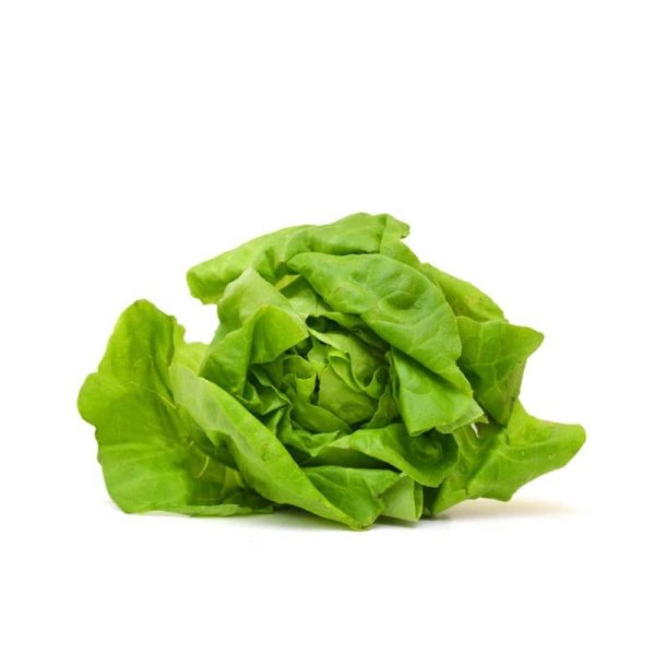 Bentley Seed Co. - Lettuce Buttercrunch Hot on Sale