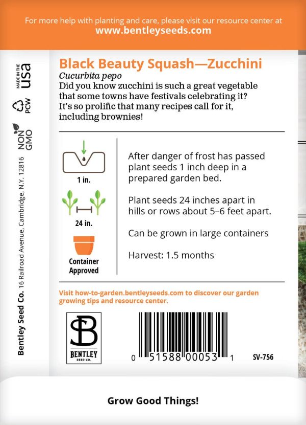 Bentley Seed Co. - Squash Zucchini Black Beauty For Discount