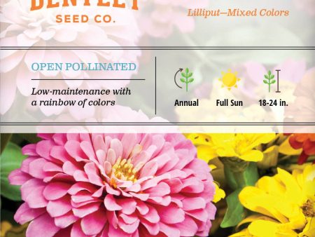 Bentley Seed Co. - Zinnia Lilliput Mixed Colors Online Hot Sale