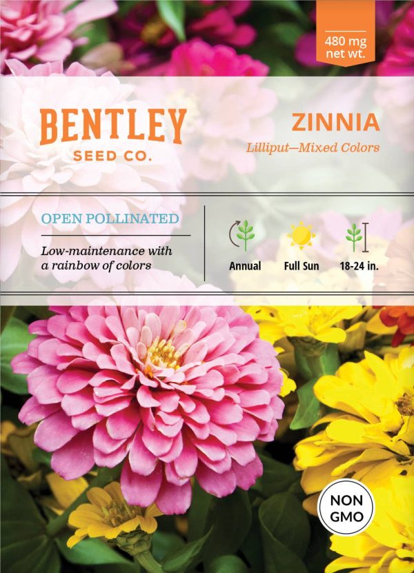 Bentley Seed Co. - Zinnia Lilliput Mixed Colors Online Hot Sale