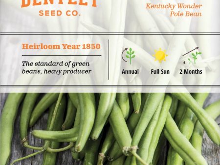 Bentley Seed Co. - Bean Kentucky Wonder (Green Pole) For Discount